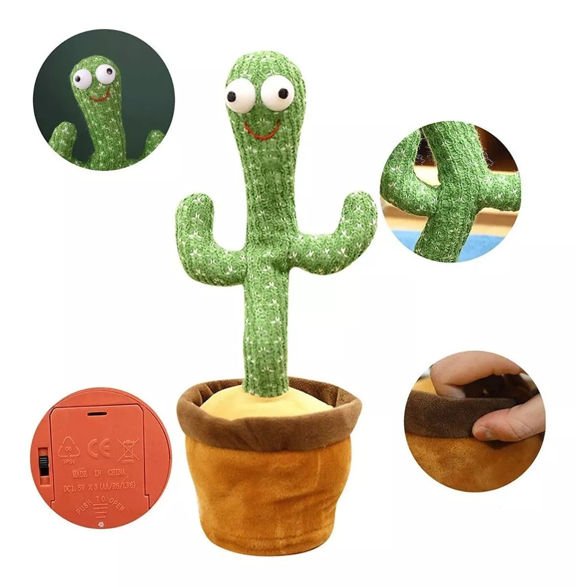 Cactus Bailarín