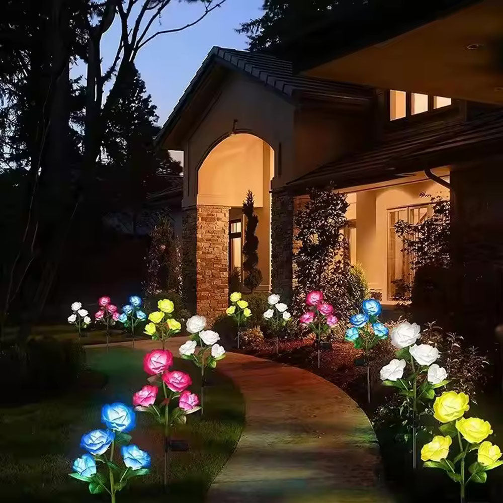 Rosas Solares para Jardín