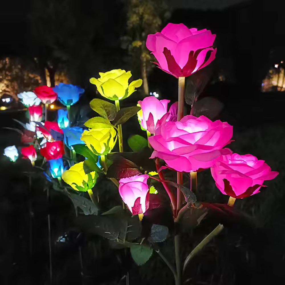 Rosas Solares para Jardín