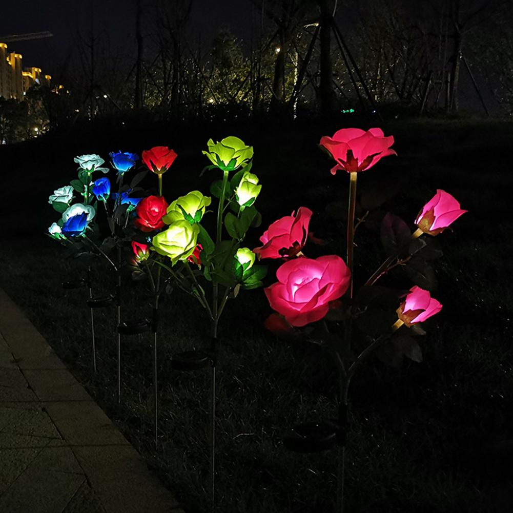 Rosas Solares para Jardín